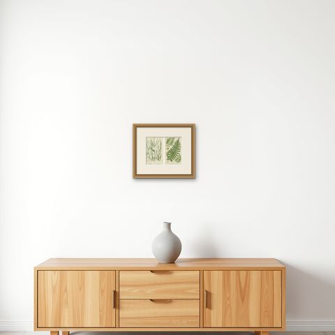 British Sedges Antique Botanical Prints, Hand-Colored Engravings, 1873, shown framed on a wall, true to size