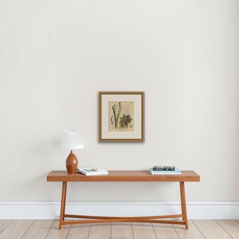 Antique Turmeric Botanical Print, Curcuma Longa, Hand Colored, c.1831, shown framed on a wall, true to size