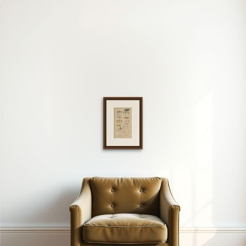 Fungal Forms: Illustrations of Mycological Diversity, 1845, shown framed on a wall, true to size