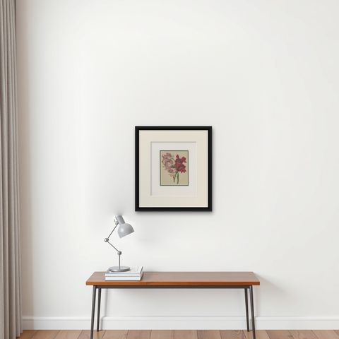 Antique Botany Print of Gladiolus Varieties 'c.1850', shown framed on a wall, true to size