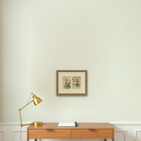 Set of 2 Antique Botany Prints, Lilium Brownii, Clerodendrum Japonicum, 1845, shown framed on a wall, true to size