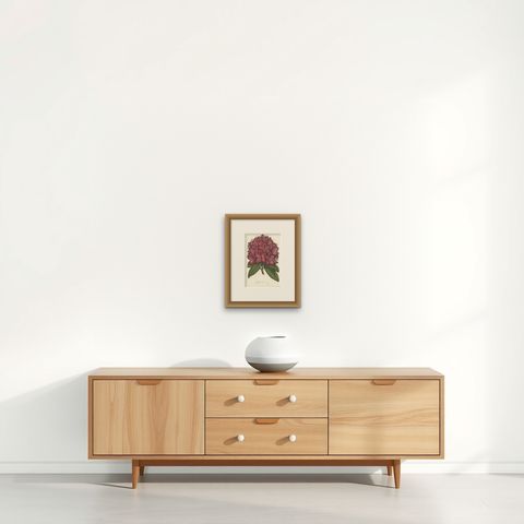 Othello Rhododendron Botanical Illustration by Louis van Houtte, 19th Century, shown framed on a wall, true to size