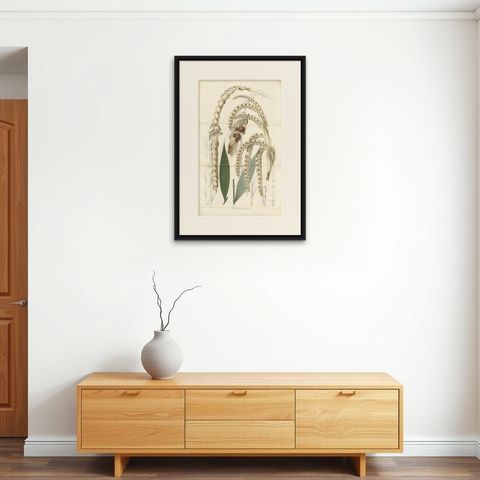 Large Original Antique Botanical Illustration of the Plectocomia Elongata, c1860, shown framed on a wall, true to size