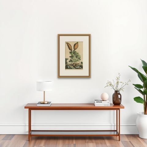 Botanical Illustration of Soursop (Annona muricata) from Munting’s 1696 Herbal, shown framed on a wall, true to size