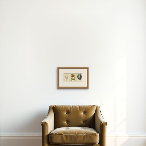 Variegated Elegance: A Study of Patterned Botanicals, Published in 1880, shown framed on a wall, true to size