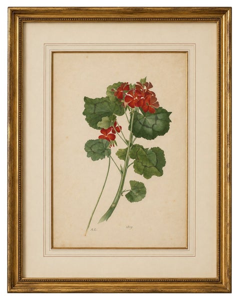 Two Stems with Red Flowers, Botanical Watercolor by A.L., 1819