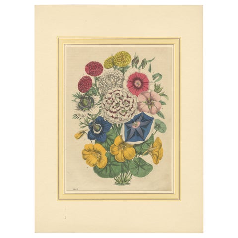 Victorian Floral Bouquet with Garden Blooms from Book of Worlds, 1863