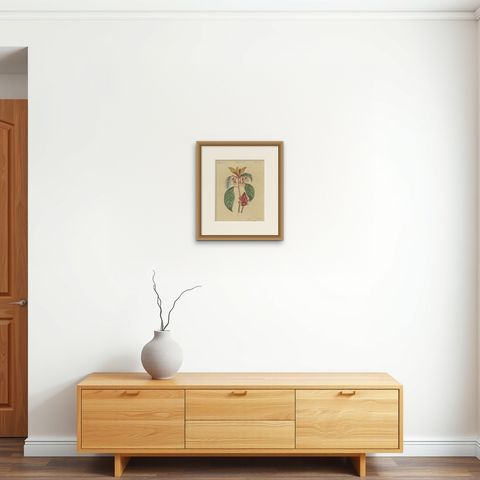 Flowering Shrub with Red Blossom, Antique Bertuch Print, circa 1815, shown framed on a wall, true to size