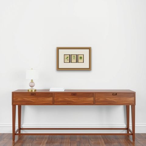 Cape Pondweed, Umbrella Plant & Bulrush, Antique Botanical Prints c.1897, shown framed on a wall, true to size