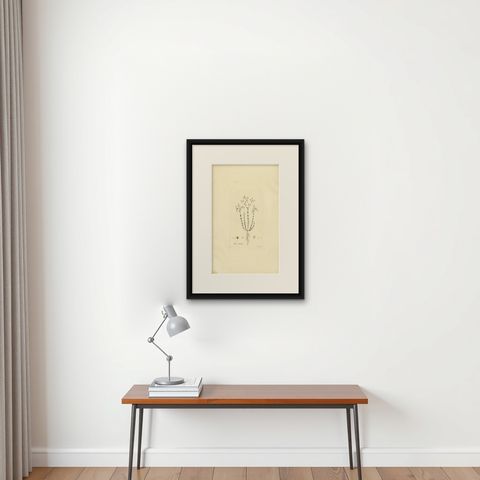Antique Botany Engraving of Linum Catharticum, circa 1817, shown framed on a wall, true to size