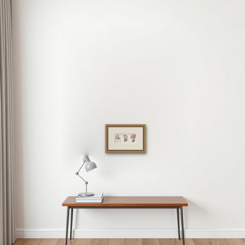 Set of Three Botany Prints Hepatica, Large-Leaved Saxifrage, Primula, shown framed on a wall, true to size