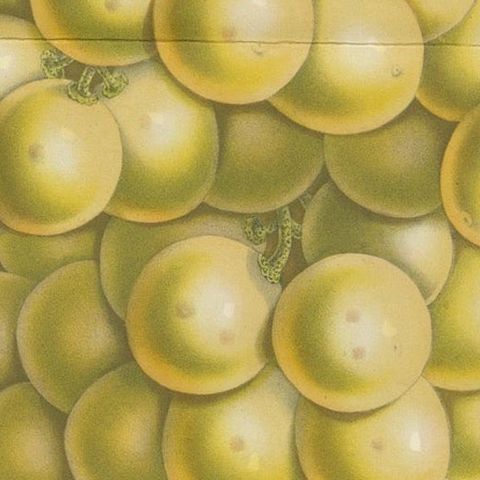 Stockwood Golden Hambro Grapes: Hand-Colored Lithograph by Louis van Houtte, close-up 3