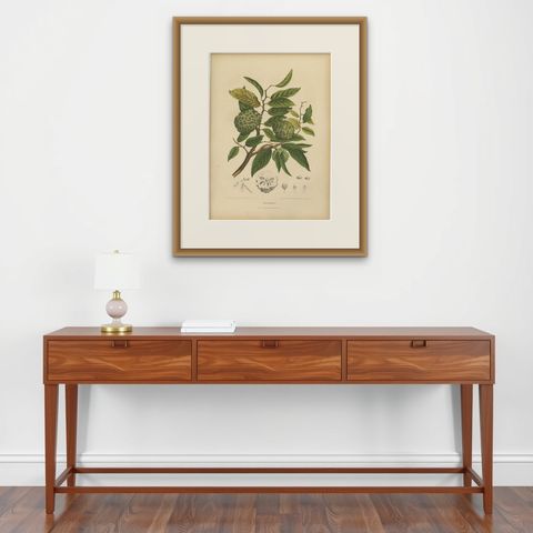 Antique Sugar Apple Botanical Chromolithograph by Hoola van Nooten, c. 1880, shown framed on a wall, true to size