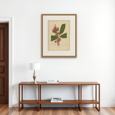 Antique Wax Apple Blossom Botanical Chromolithograph by Hoola van Nooten, c.1880, shown framed on a wall, true to size