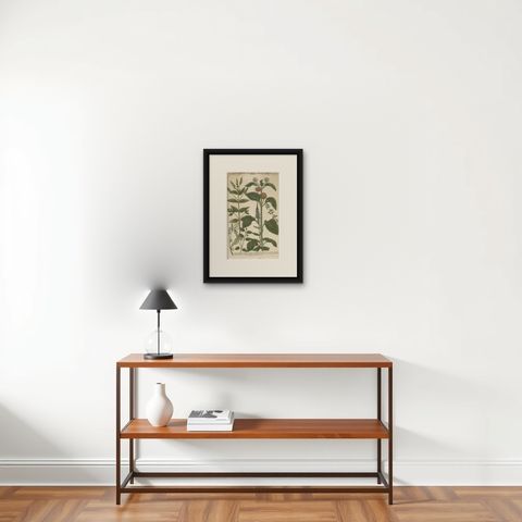Copper Engraving of Spike Speedwell and Various Other Plants, 1745, shown framed on a wall, true to size