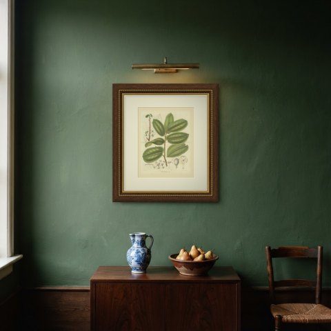 Antiaris Toxicaria, the Upas Tree, Branch with Details, 1859, shown framed on a wall, true to size