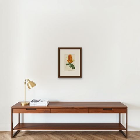 19th Century Botanical Lithograph of Aphelandra Porteana by Louis van Houtte, shown framed on a wall, true to size
