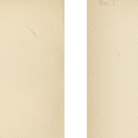Native US Flora, Two Original Botanical Chromolithograps, 1879, close-up 1