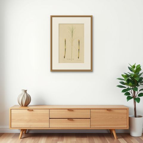 Antique Sugarcane Botanical Chromolithograph, Teboe Glagah, Java 1892, shown framed on a wall, true to size