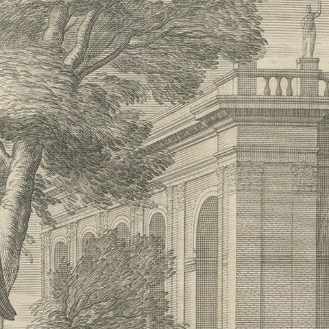 Antique Print of Harmonillus Turning into a Lemon Tree, 1646, close-up 1