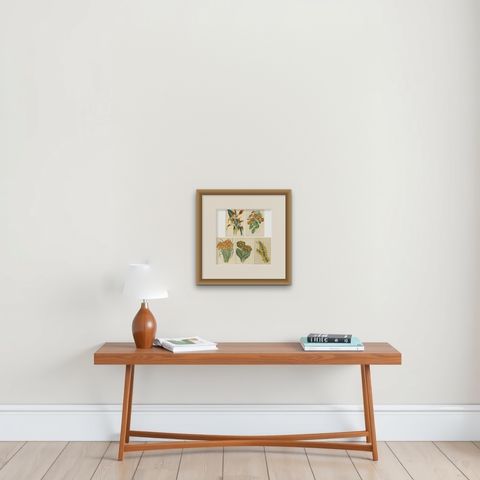 Set of 5 Antique Botany Prints, Orange, by Brooks 'c.1870', shown framed on a wall, true to size