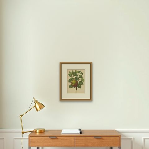 Antique Print of a Cellini Apple by G. Severeyns, 1876, shown framed on a wall, true to size